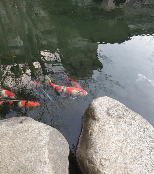 八芳園