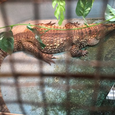 桐生が岡動物園