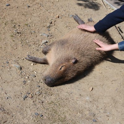 堺・緑のミュージアムハーベストの丘