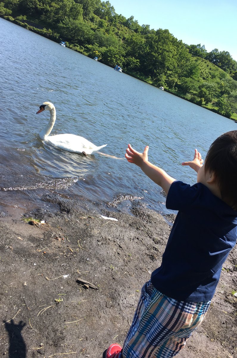 志高湖キャンプ場