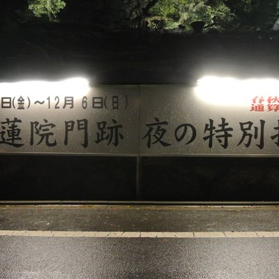 青蓮院門跡