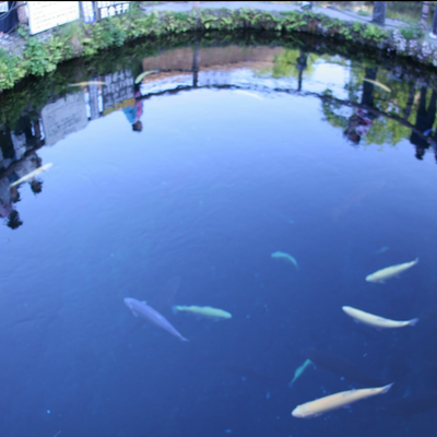 忍野八海