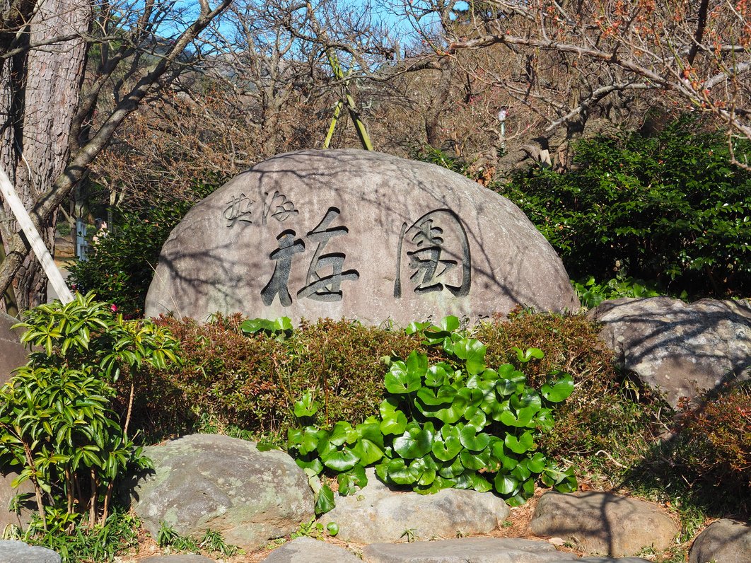 熱海梅園