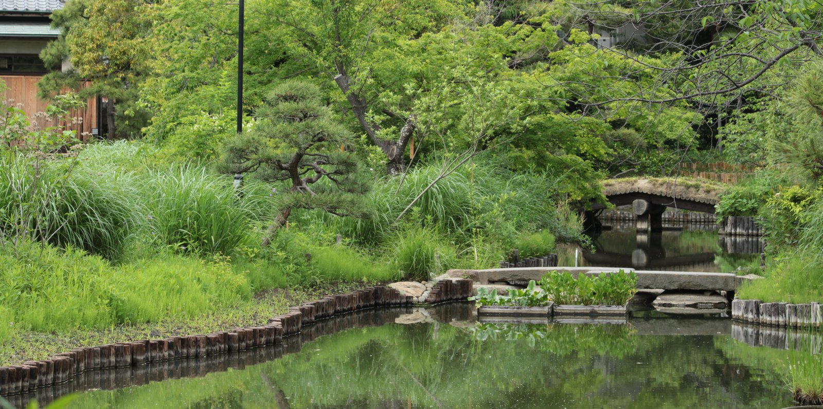 百の花園は伊達じゃない 向島百花園でゆったりと草花鑑賞 Playlife プレイライフ