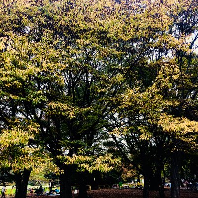 都立小金井公園