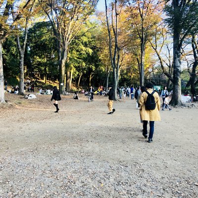 井の頭公園