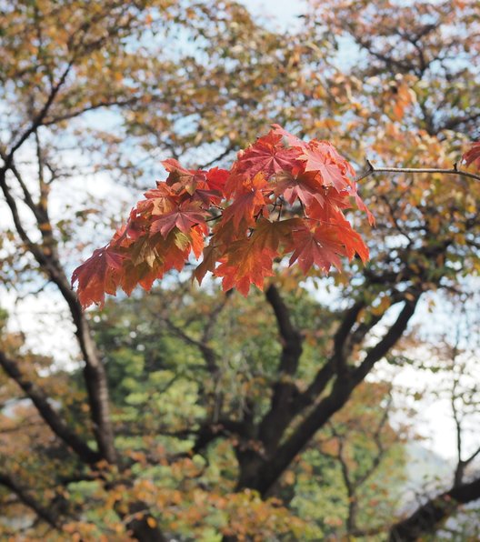 恵林寺