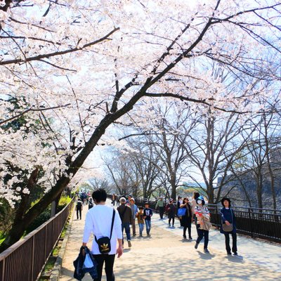 大阪城公園