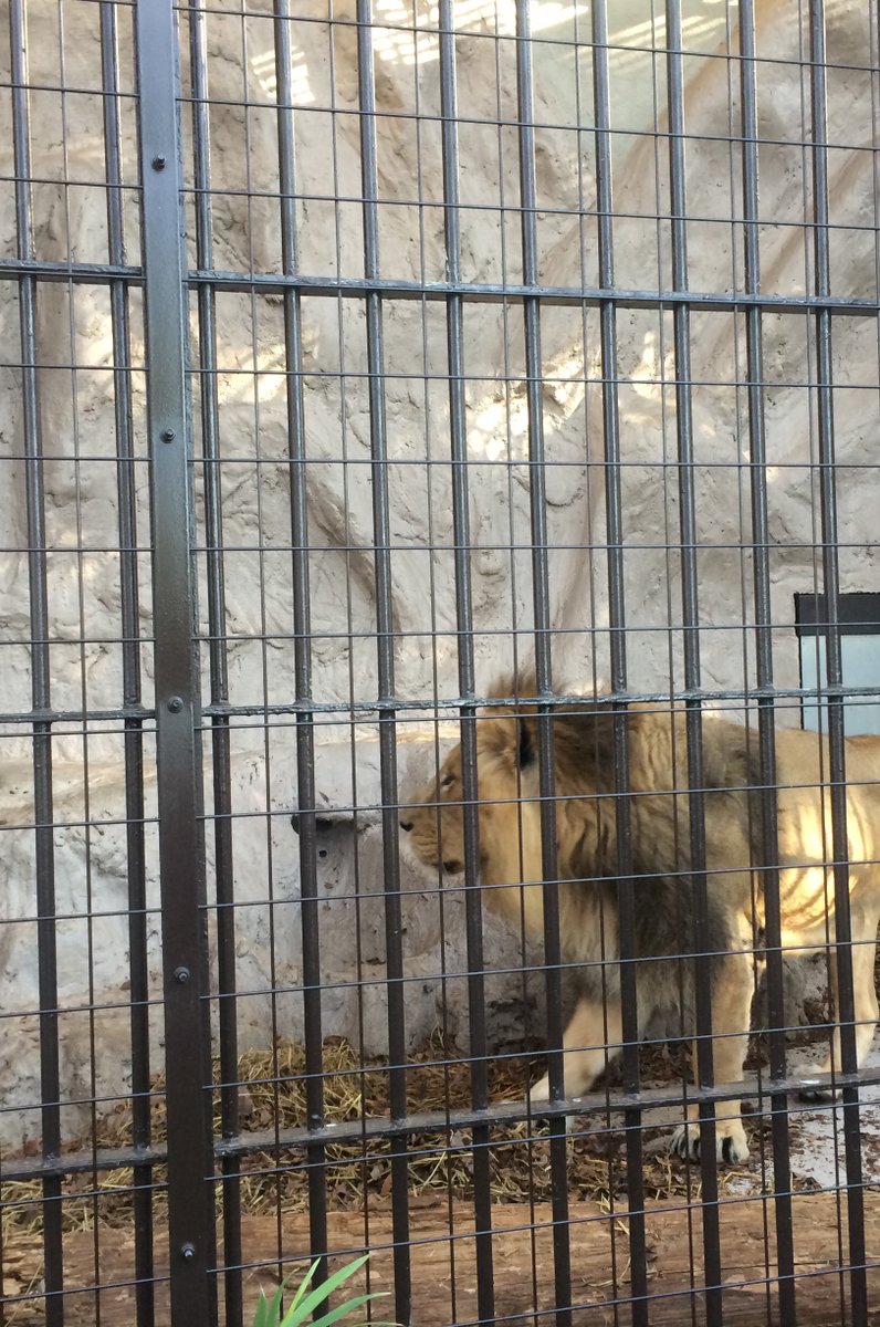 野毛山動物園