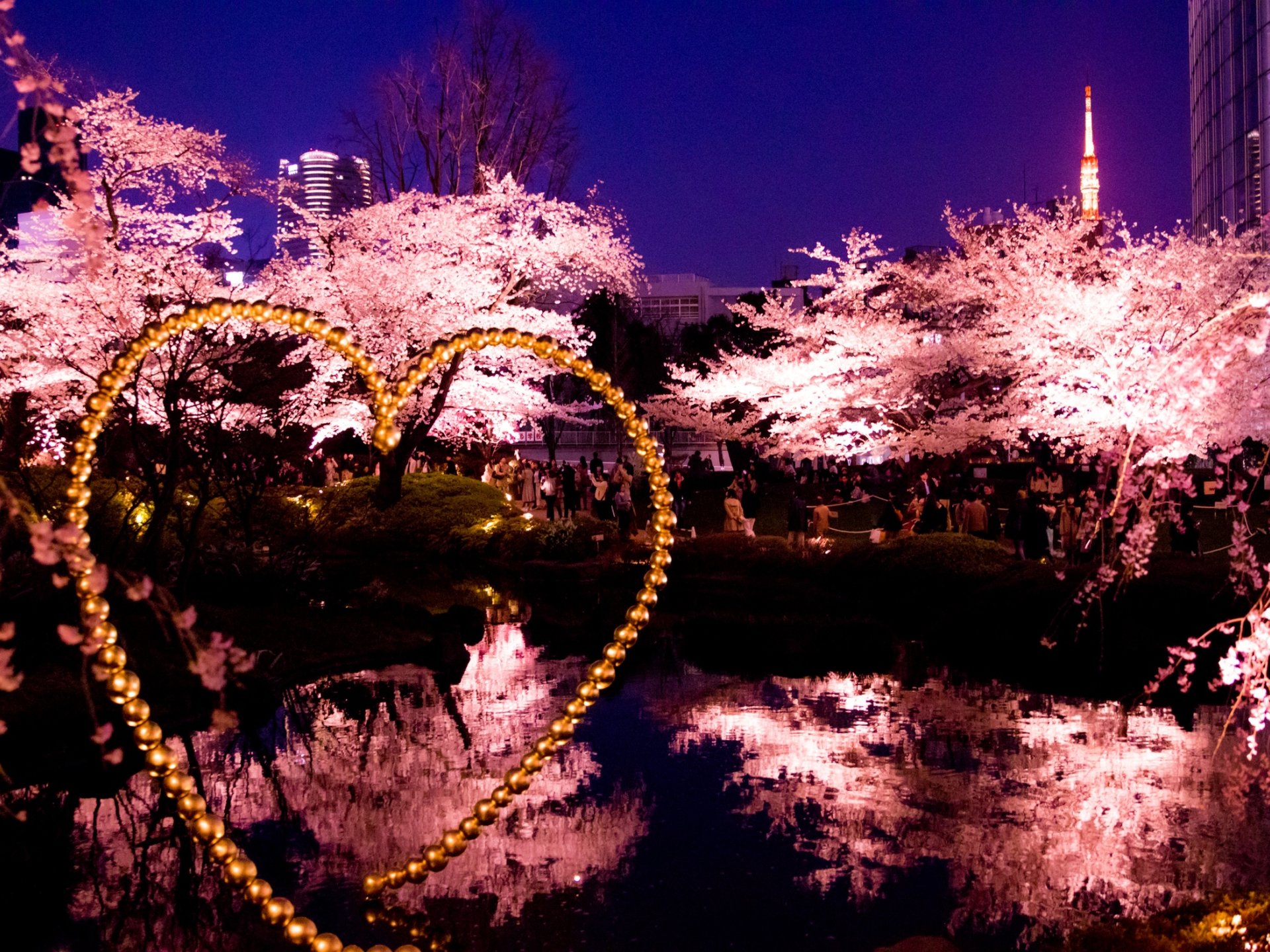 東京の夜桜ならここ。ドライブデートで巡る桜の名所6選