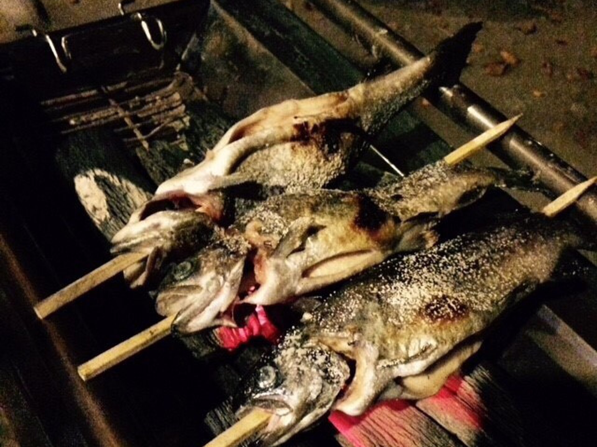 【早戸川&相模湖】船でしかいけない「みの石滝キャンプ場」で、にじますの炭火BBQを贅沢に味わいつくす