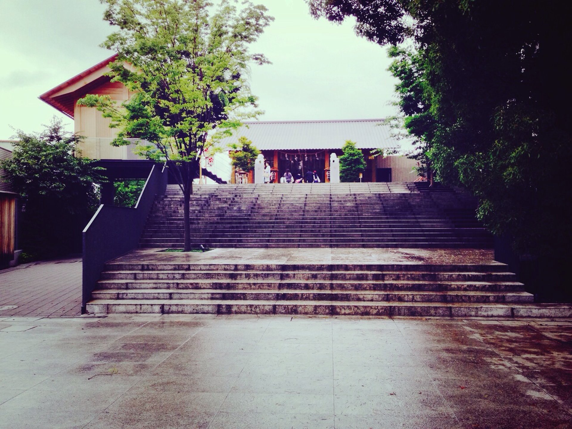 神楽坂デート「ラストシンデレラ」のロケ地「赤城神社」からの境内にある「あかぎカフェ」