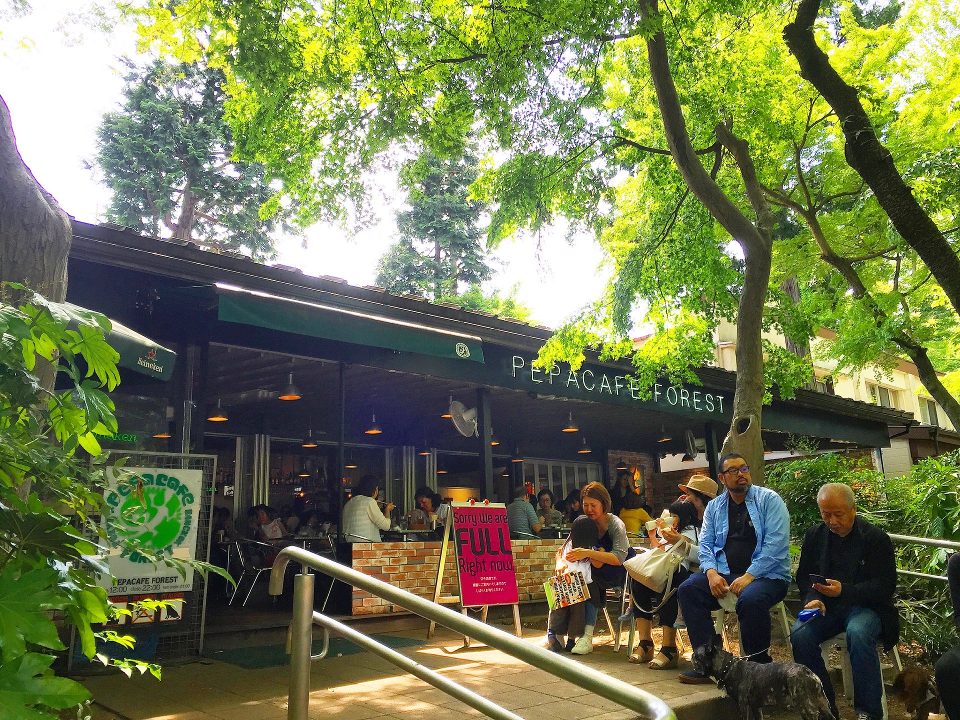 【吉祥寺】大自然の中でいただく絶品タイ料理ランチ。井の頭公園内に佇むペパカフェフォレストが最高。