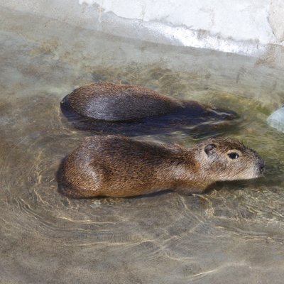 堺・緑のミュージアムハーベストの丘