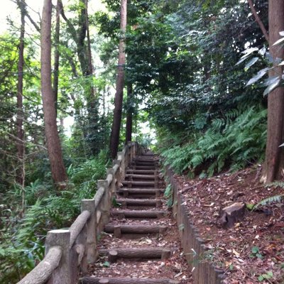 石神井公園