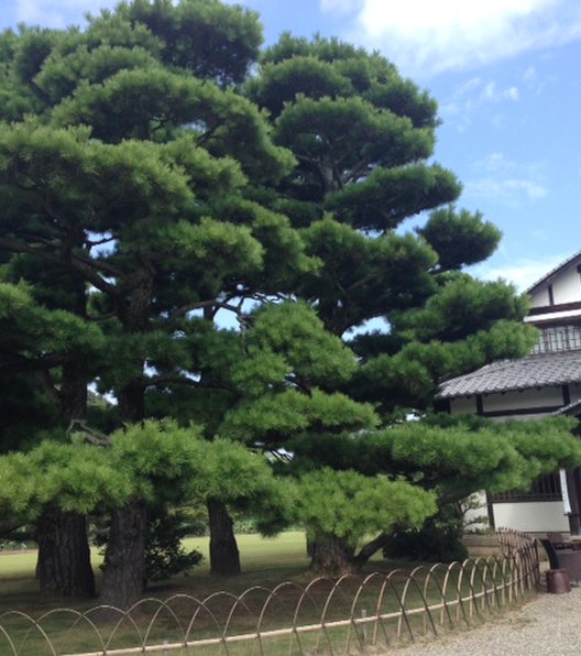 栗林公園