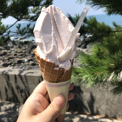 道の駅 キラメッセ室戸・食遊鯨の郷