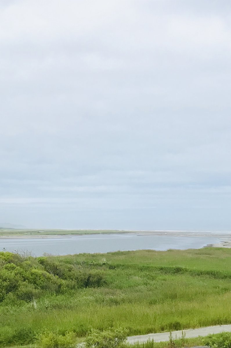 大津海岸