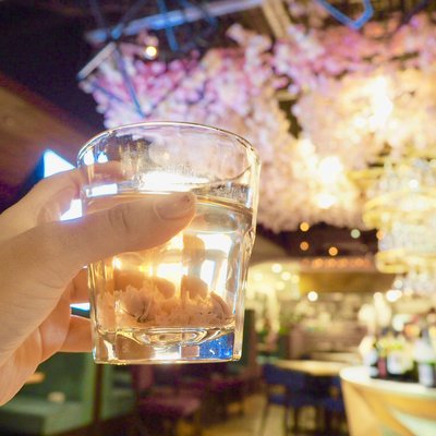 お花見ワインバル エソラ 新宿店