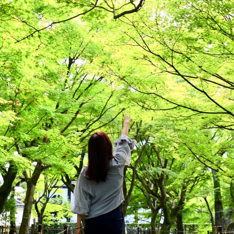 東福寺