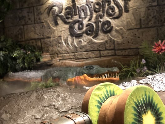 レインフォレストカフェ・トーキョー （Rainforest cafe）