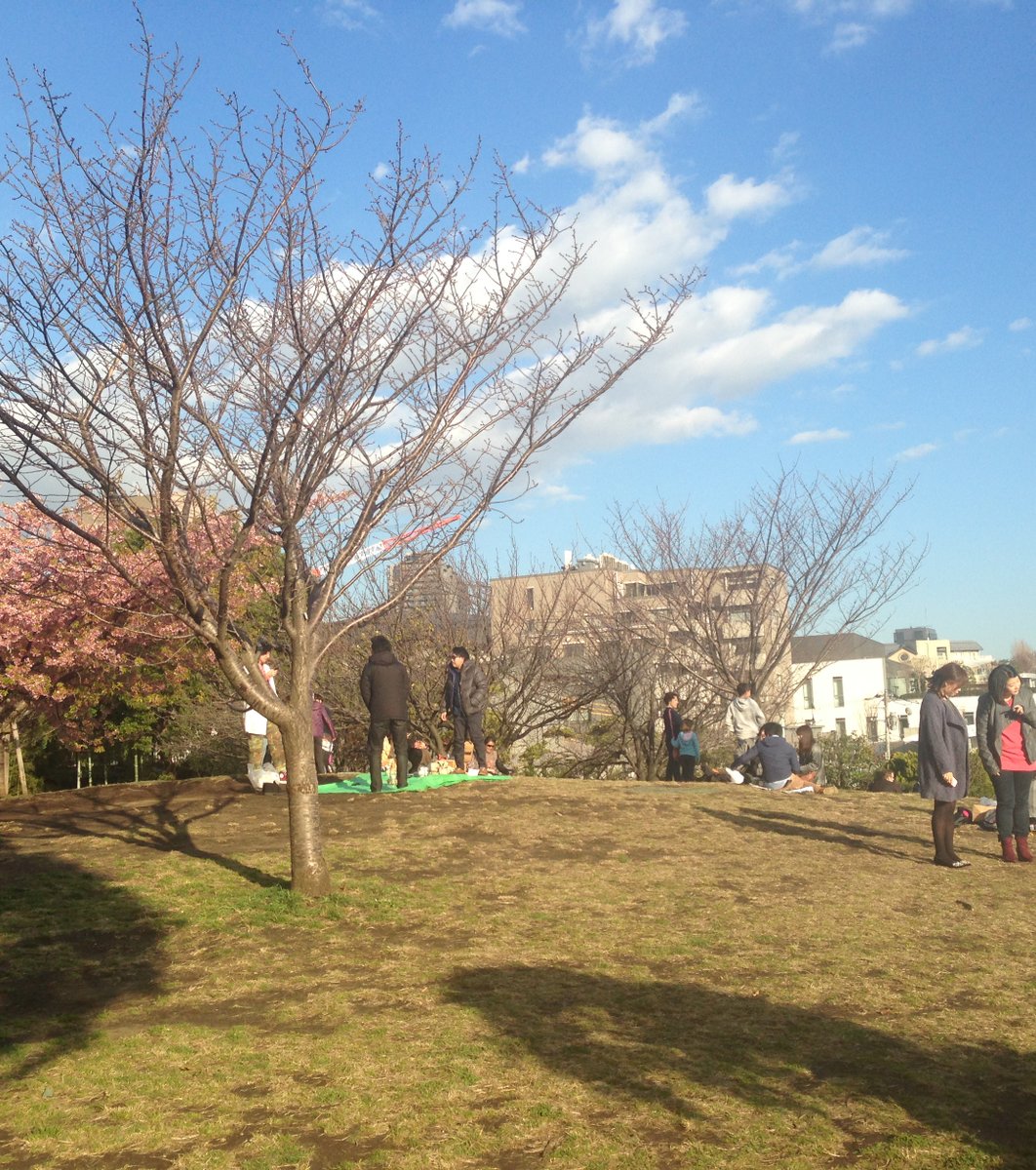 西郷山公園