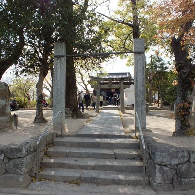 大宰府 坂本八幡宮