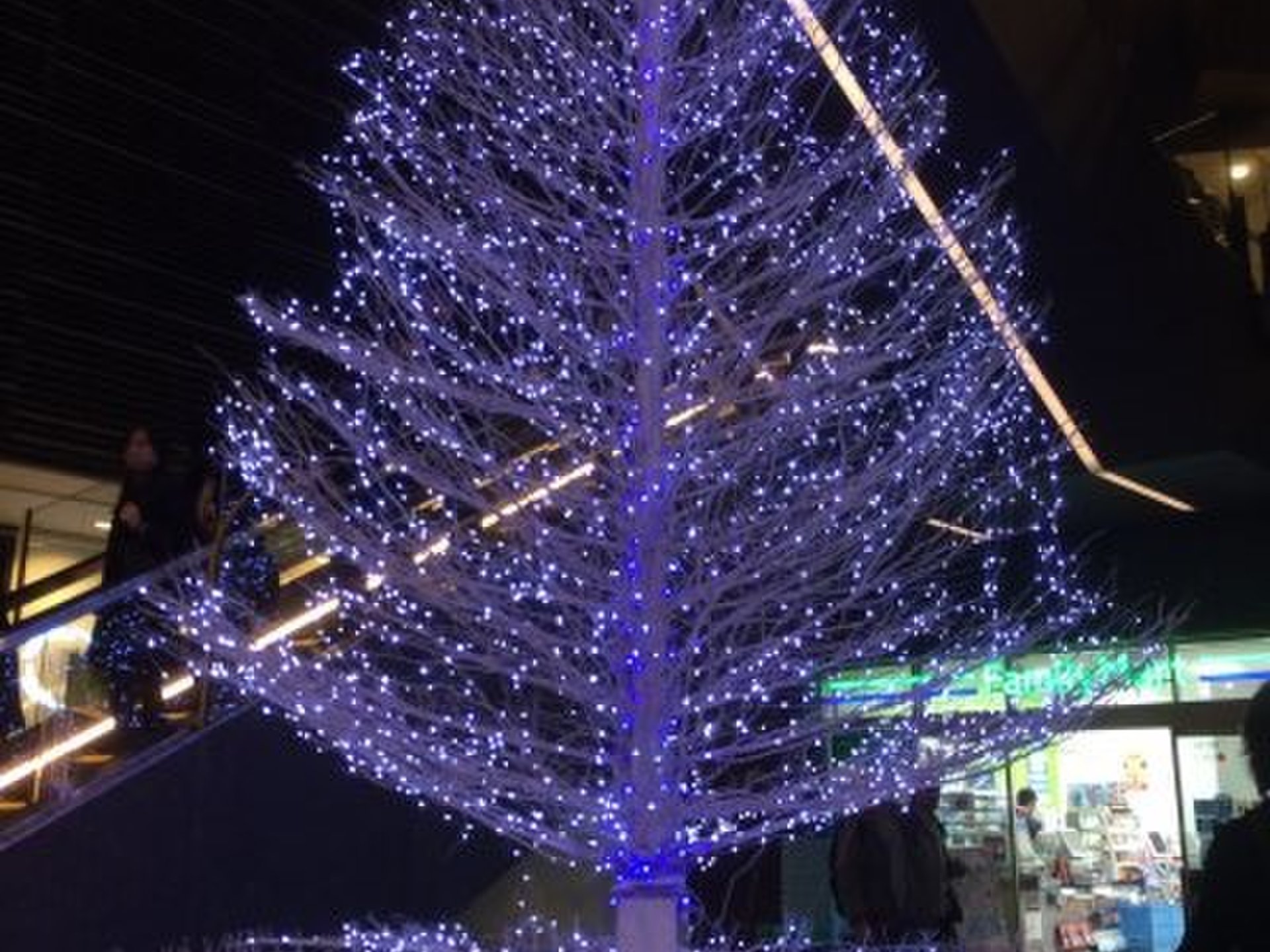 東京地下鉄株式会社 半蔵門線押上駅