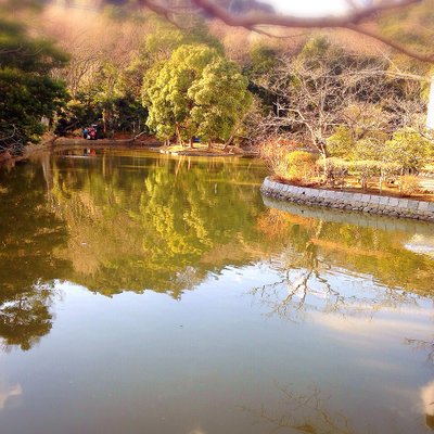 鶴岡八幡宮