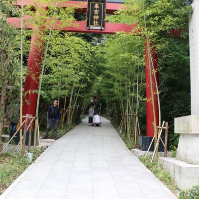 来宮神社