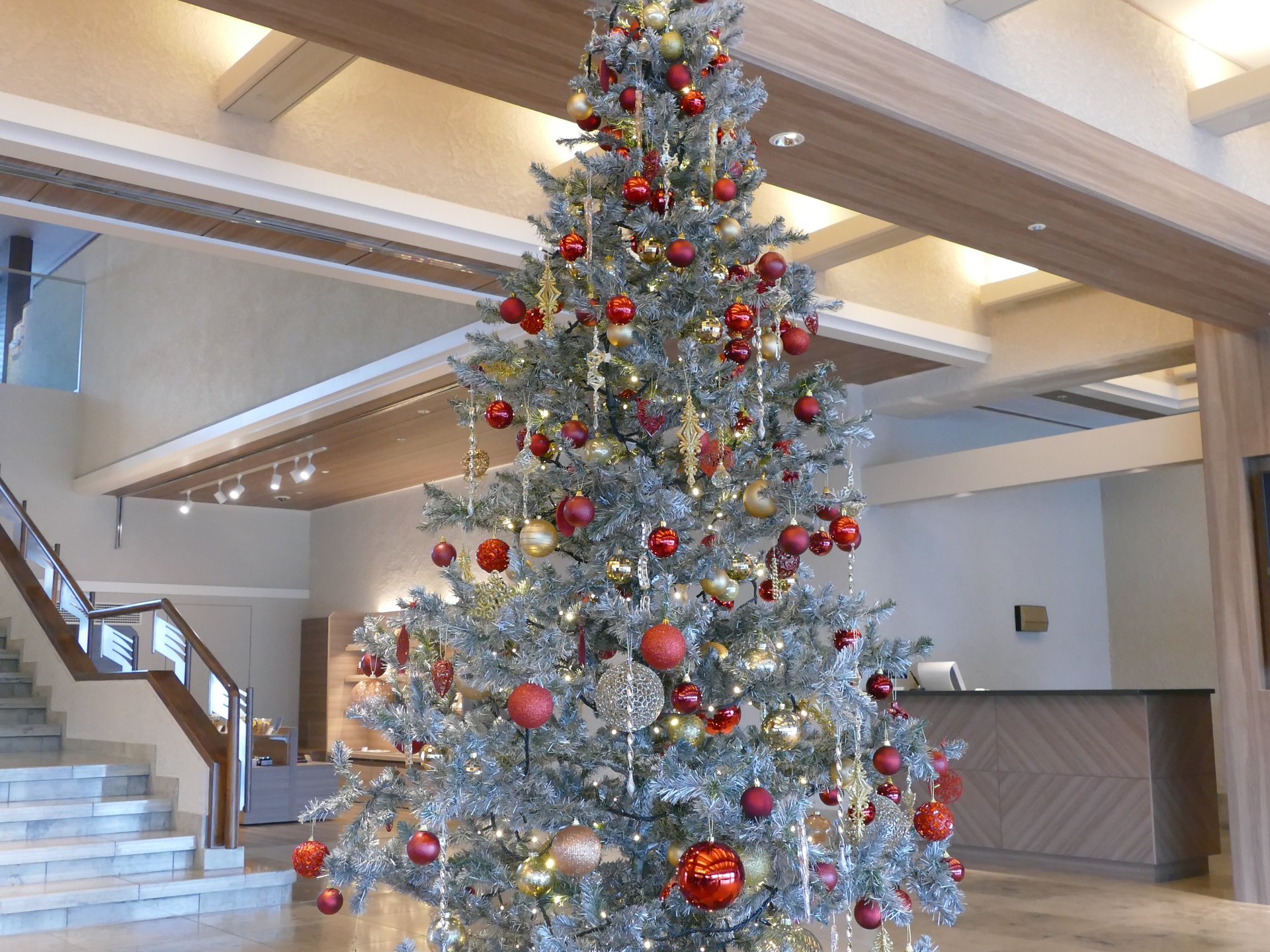 クリスマスは伊豆旅行♡マリオットで過ごす贅沢な時間‼1日過ごせるラグジュアリーホテル