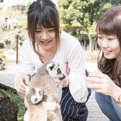 伊豆シャボテン動物公園