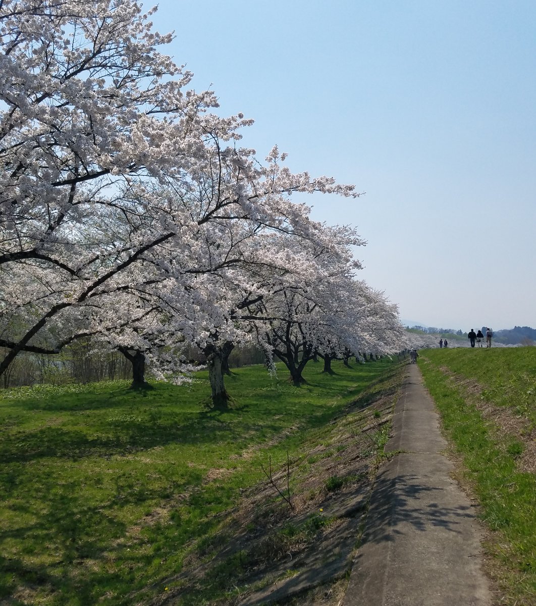 雫石川園地