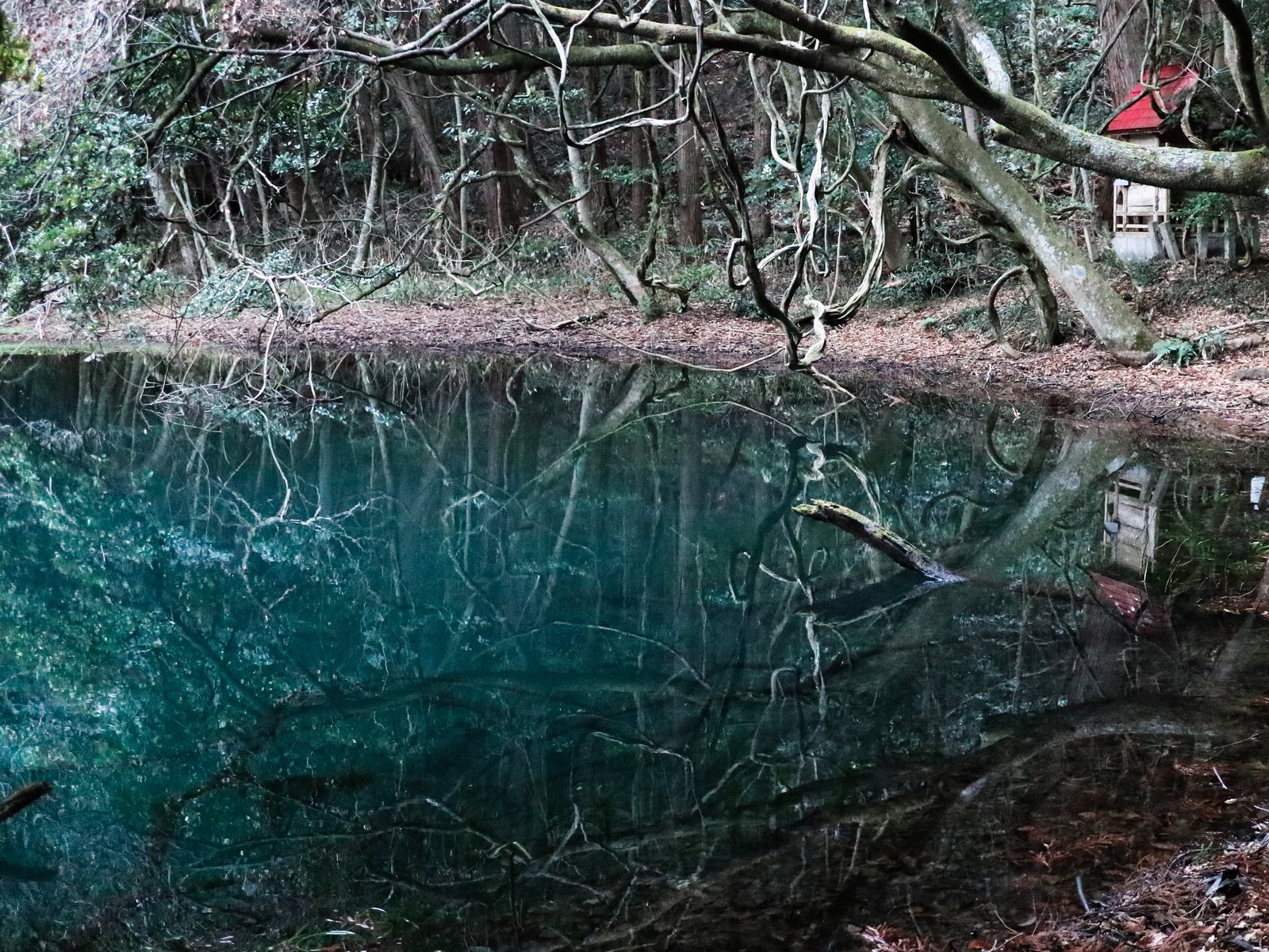 知る人ぞ知る穴場スポット 色が変化する 神秘の泉 丸池様 へ 山形県 庄内 Playlife プレイライフ