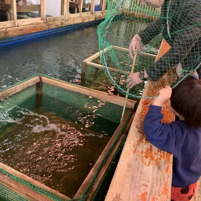 釣船茶屋 ざうお 福重店