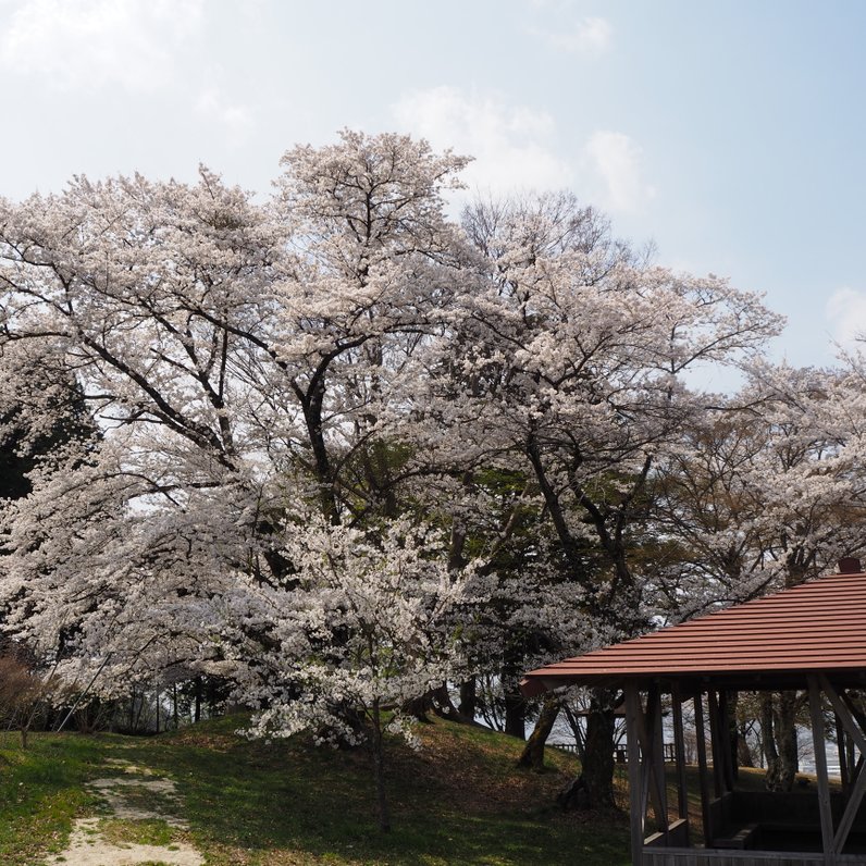 林公園