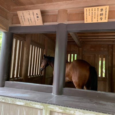 伊勢神宮内宮(皇大神宮)