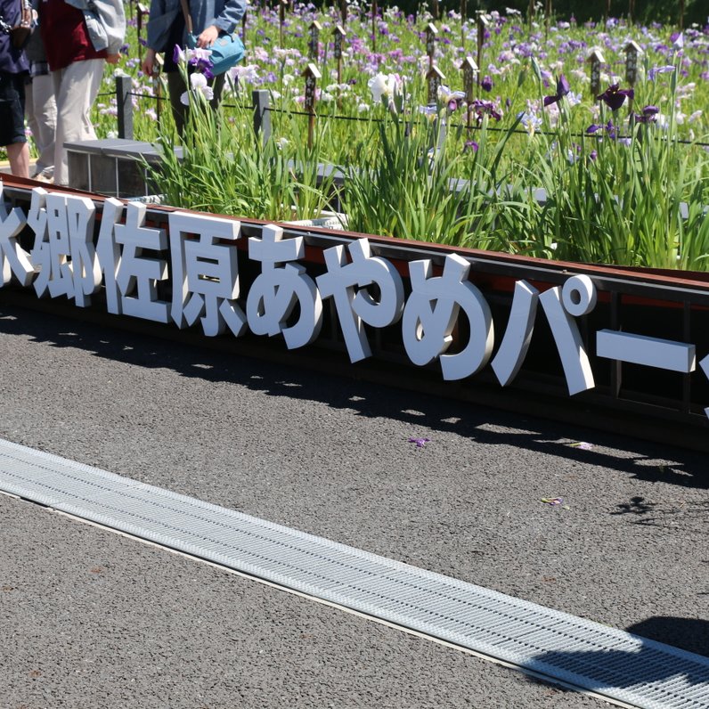 水郷佐原あやめパーク