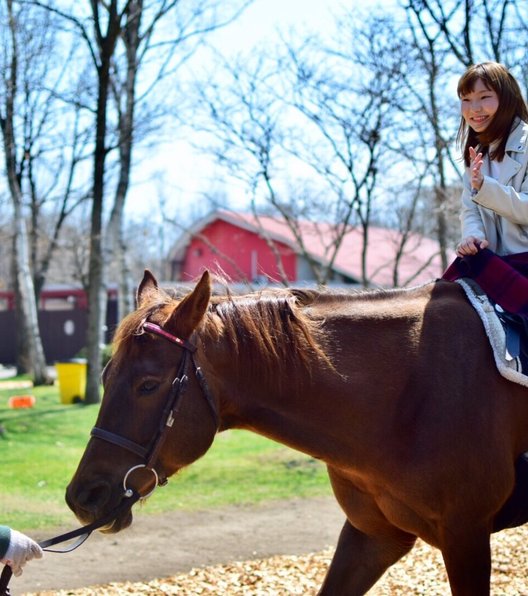 New Chitose Airport Surrounding Sightseeing If To Northern Horse Park Fureaeru With Nature And Horses Playlife Play Life