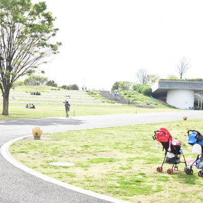 国営昭和記念公園