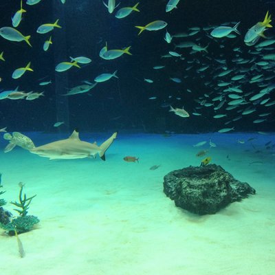 サンシャイン水族館