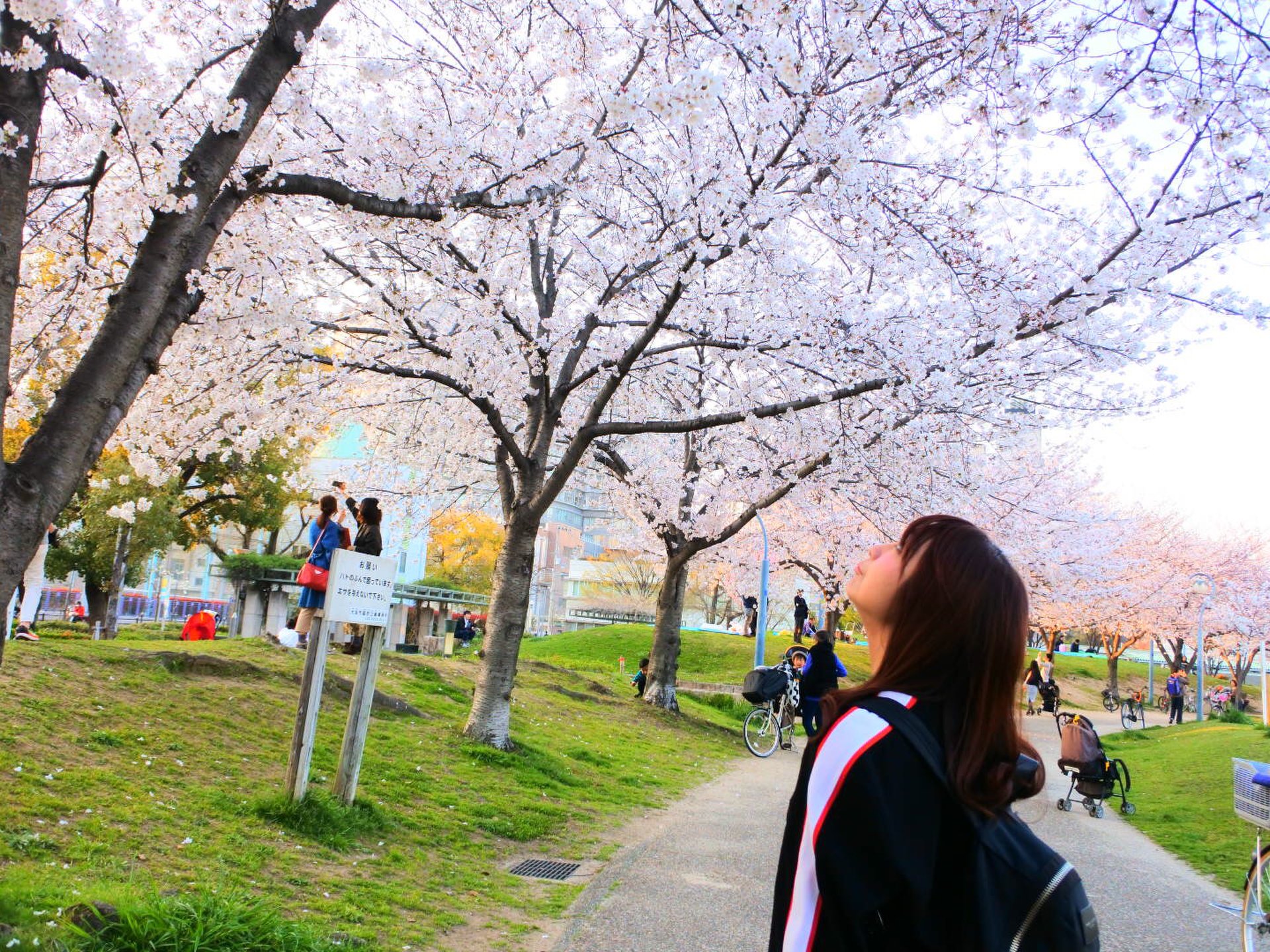 梅田から7分！最寄り駅から徒歩1分！大阪でお花見を楽しむなら駅近の扇町公園で決まり！