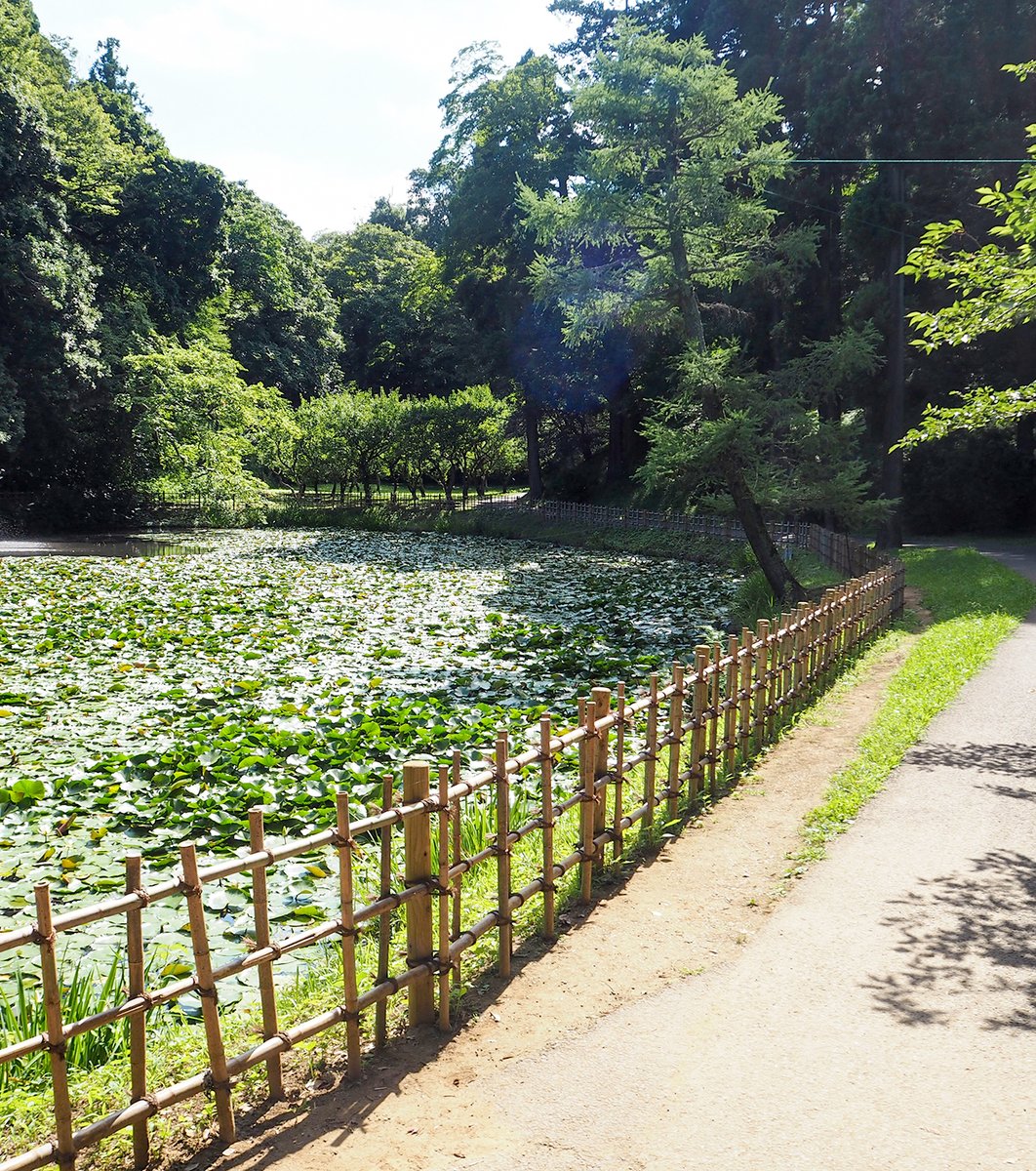 佐倉城址公園