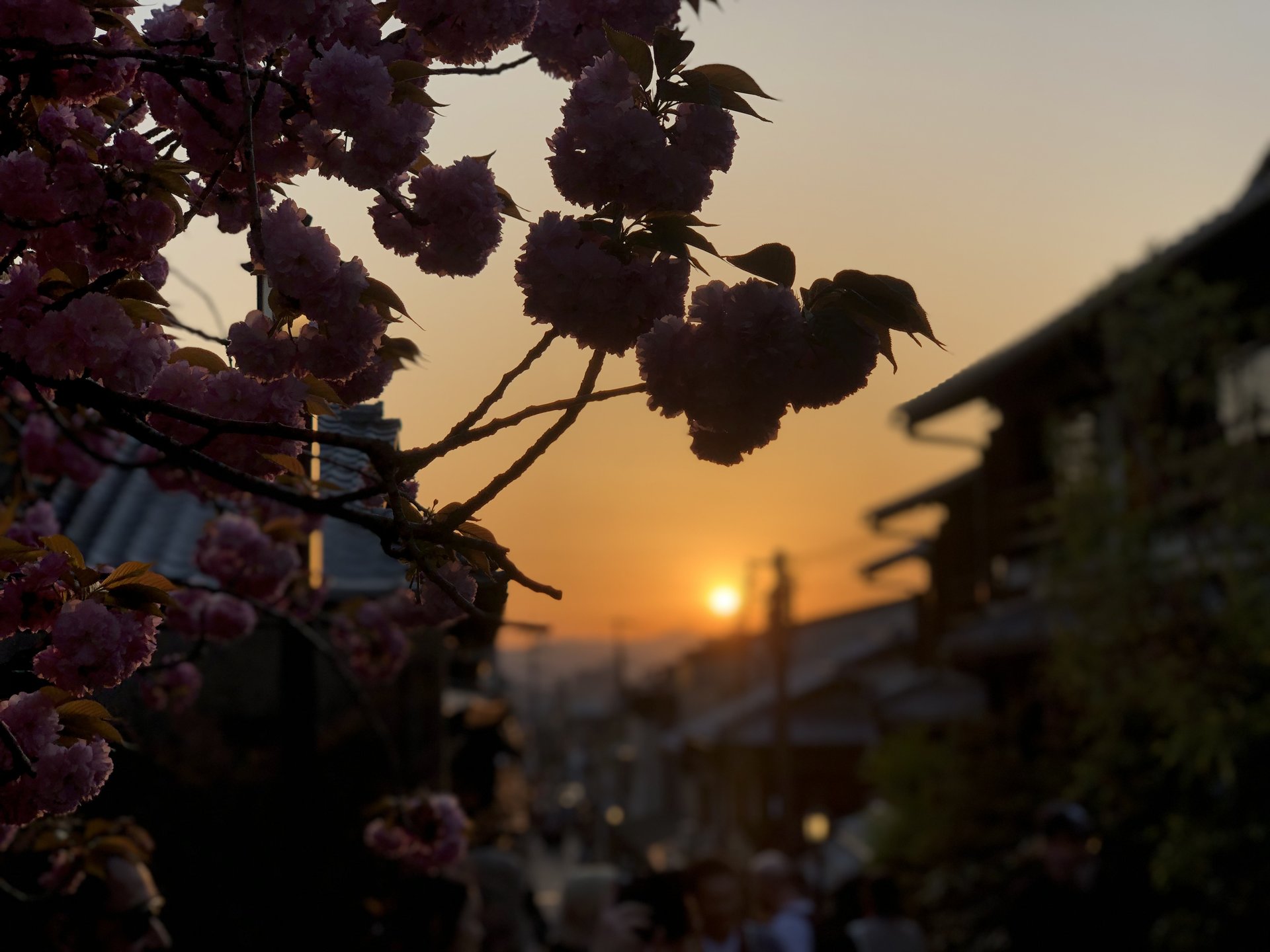 京都の幻想的スポット「八坂の塔」夕日が超絶きれい★カメラ好き必見‼︎