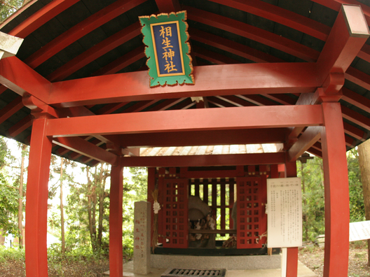 大杉神社