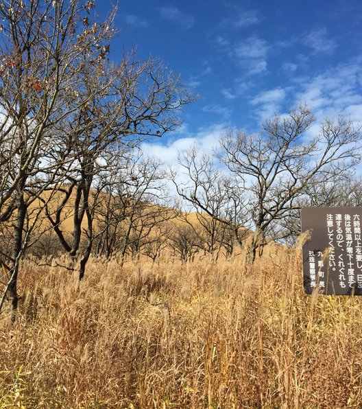 九重森林公園スキー場ゲレンデ情報