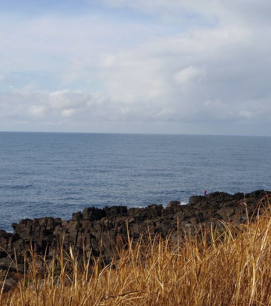 雄島