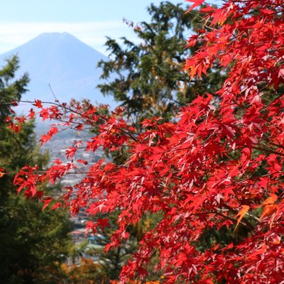 新倉山浅間公園