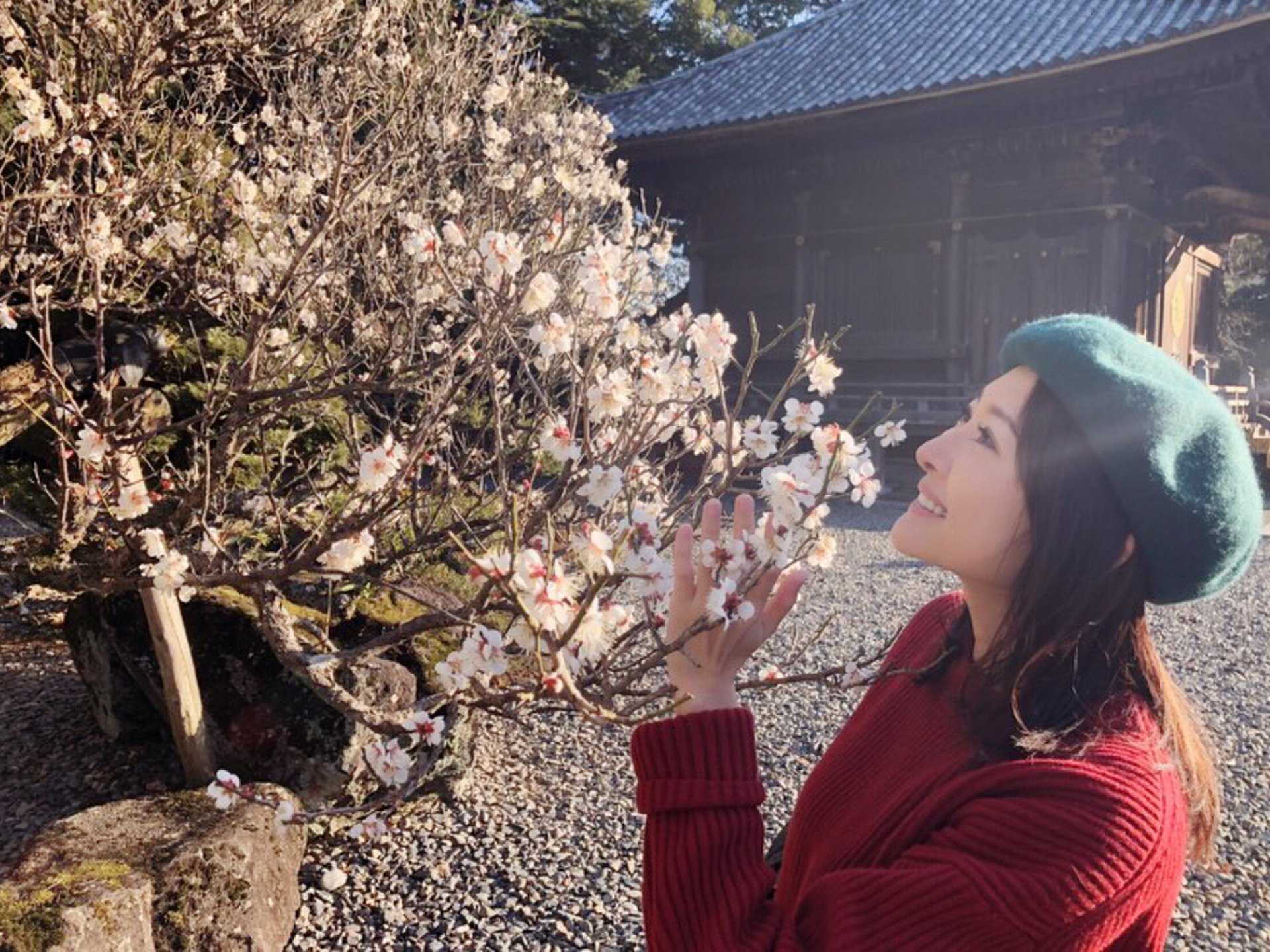 【成田公園】梅は咲いたか桜はまだかいな！梅の好きなところは甘酸っぱいこの香り！満開の梅を見に行こう！