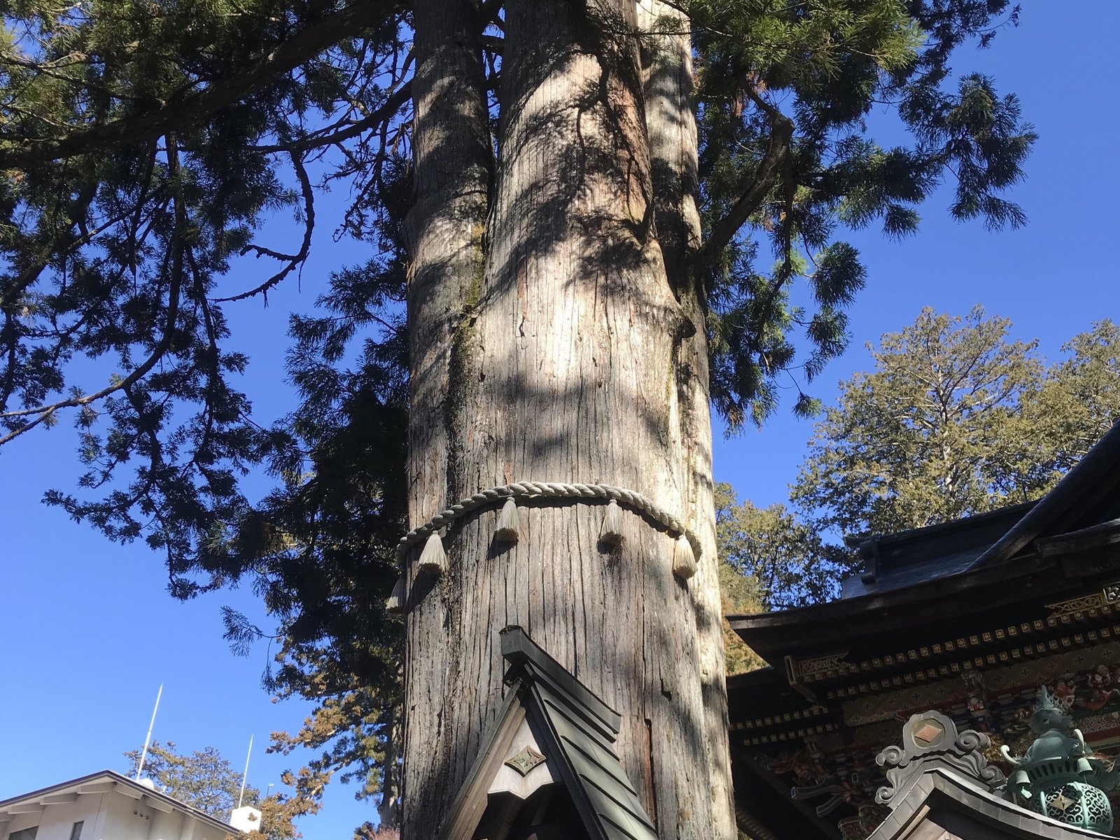 三峯神社